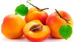 Абрикос полезные свойства и целебные рецепты абрикос