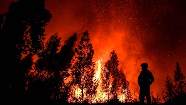 Чрезвычайная сложность лесных пожаров в Португалии