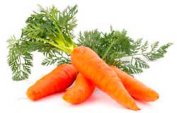 морковь полезные свойства