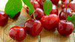 Вишня полезные свойства и целебные рецепты вишни